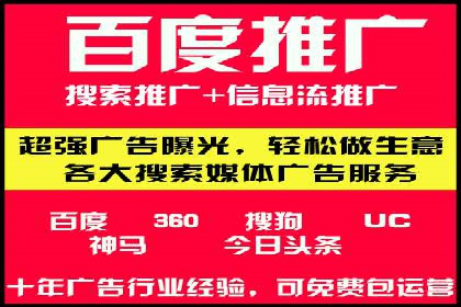 揭秘sem竞价代运营的成功要素及案例